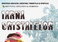 iarna cristalelor o expozitie plina de originalitate
