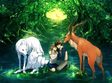 introducere in universul anime de la miyazaki la shinkai 