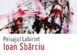 ioan sbarciu peisajul labirint