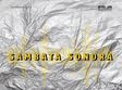 lansare album avant n gard la sambata sonora