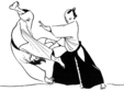 lectia de aikido