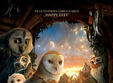legend of the guardians the owls of ga hoole 2010