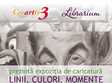 linii culori momente