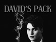 love ballads concert david s pack