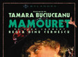 mamouret la teatrul bulandra