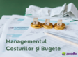 managementul costurilor si bugete