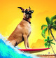  marmaduke 2010 