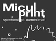 micul prin