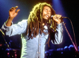 mihail hodorkovski bob marley i filme multipremiate la tiff 2012