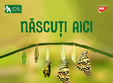 nascu i aici expozi ie temporara de fluturi tropicali vii