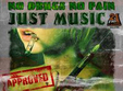 no drugs no pain just music in club shade din bucuresti