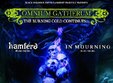 omnium gatherum hamfer heidra in timisoara