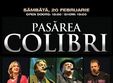 pasarea colibri