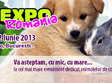 petexpo romania