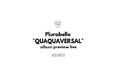 plurabelle quaquaversal album preview