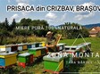 prisaca din crizbav bra ov la targul savorile toamnei 