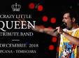 queen tribute crazy little queen capcana 30 dec 2018 