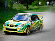 rally kart comlosu mare 2011