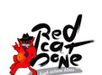 poze red cat bone tribute to the doors