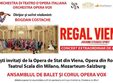 regal vienez casa de cultura a studen ilor cluj