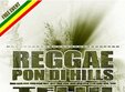 reggae pon di hills 2011