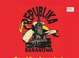 republica bananiera expresia anilor 80
