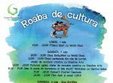 roaba de cultura in parcul herastrau