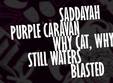 saddayah purple caravan why cat why blasted still waters