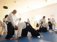 seminar national de aikido la baia mare