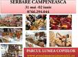 serbare campeneasca