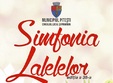 simfonia lalelelor 2015