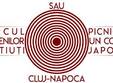 spectacol al teatrului independent osono la cluj napoca