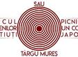 spectacol al teatrului independent osono la targu mure