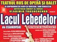 spectacol de balet lacul lebedelor la teatrul national marin sorescu