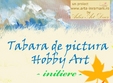 tabara de pictura hobby art initiere adulti