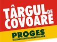 targ de covoare progres timisoara