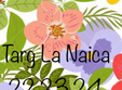 targ la naica