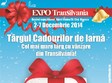 targul cadourilor de iarna la expo transilvania cluj