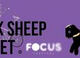 the black sheep market focus festival sibiu