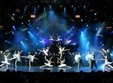 todes ballet la sala palatului