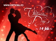 valentine s day mega party