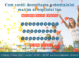 workshop pentru parinti