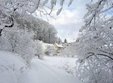 world snow day in vatra dornei