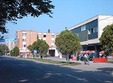 zilele ineului 2009