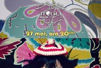 concert alexandrina in piatra neamt