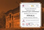 finala concursului drumul spre celebritate