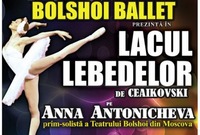 lacul lebedelor in bacau