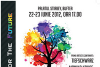 sonochrom festival 2012