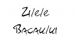 Evenimente de Zilele Bacaului