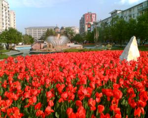 Evenimente in Pitesti in 2010 